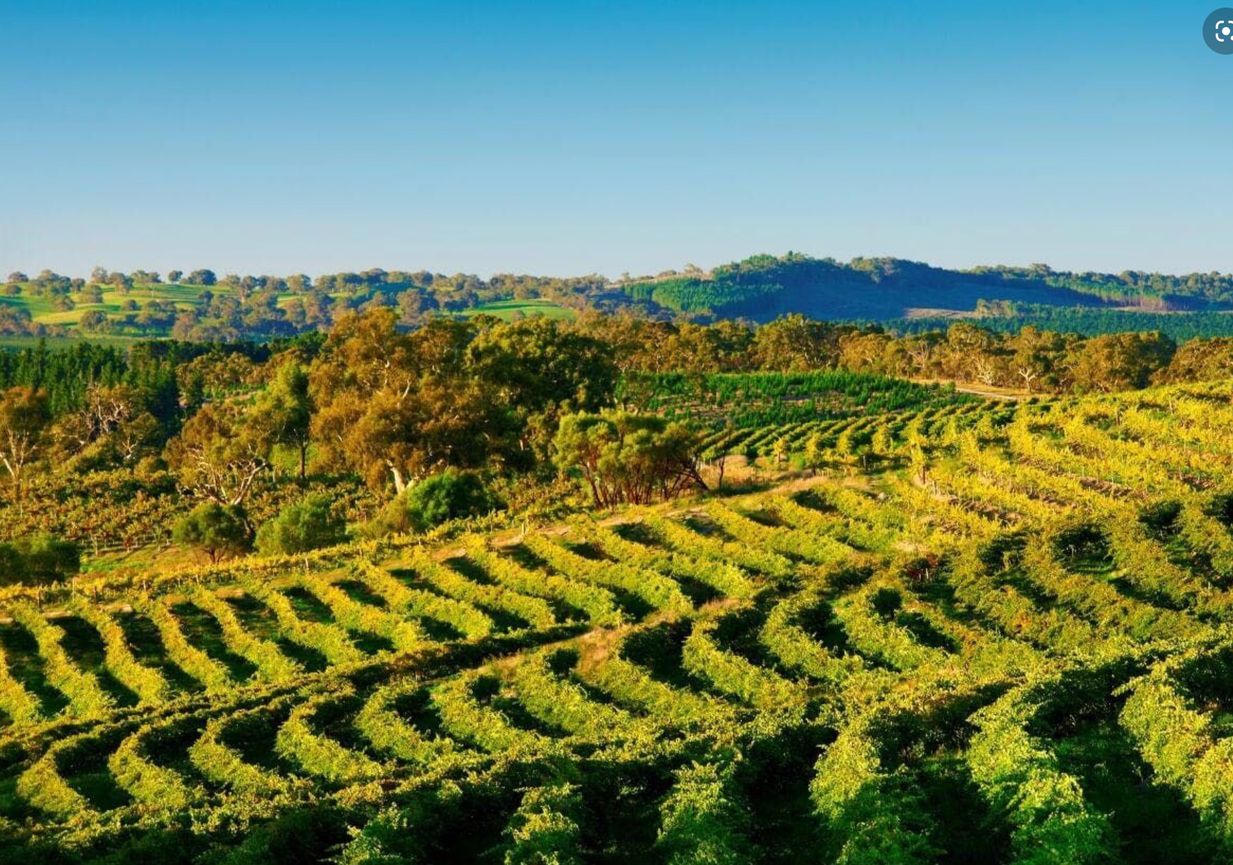 Barossa Valley